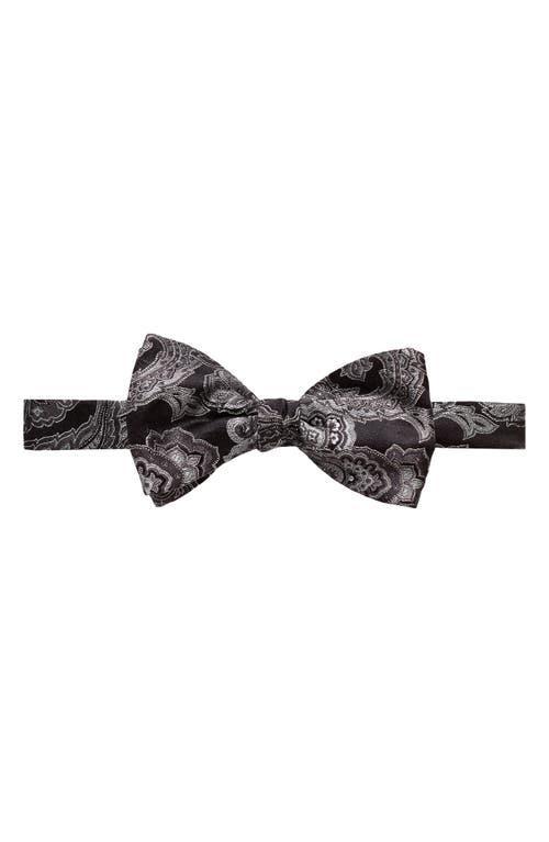 Mens Paisley Silk-Blend Pre-Tied Bow Tie Product Image
