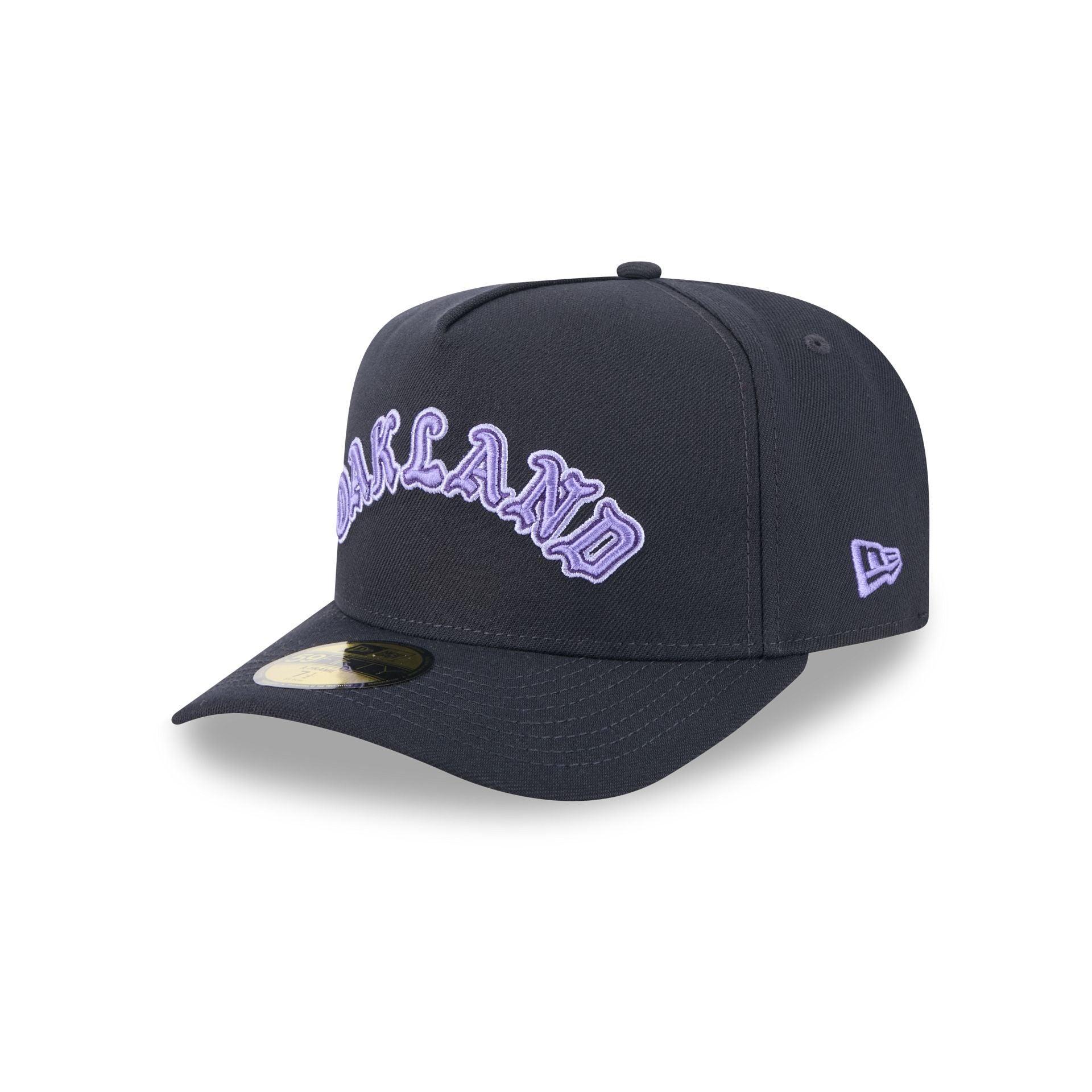 Washington Wizards Chainstitch Golfer Hat Male Product Image