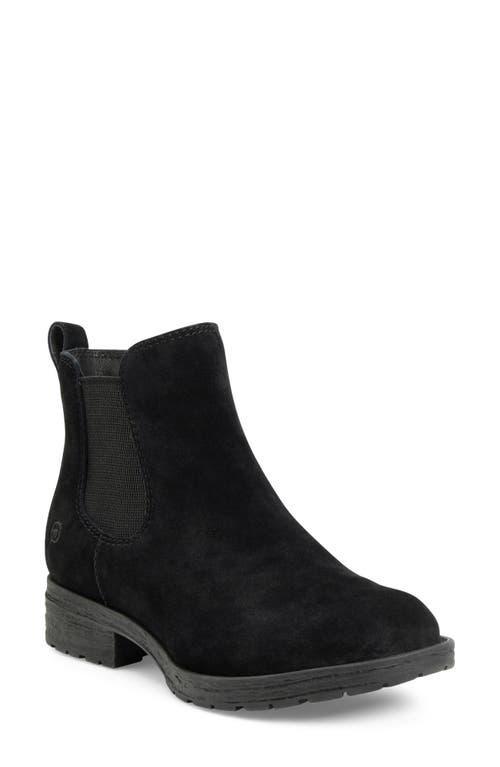 Born Cove Suede) Women's Shoes Product Image