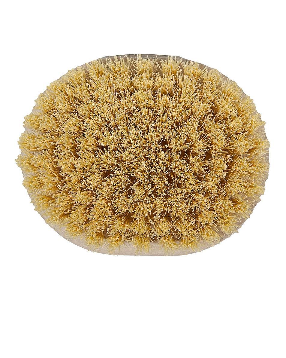 Dry Massage Body Brush Product Image