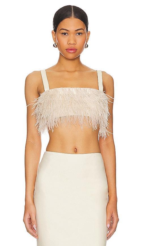 Anika Top Product Image
