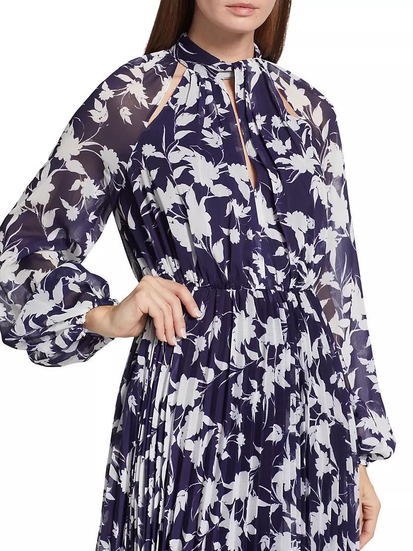 Abbie Floral Chiffon Maxi Dress Product Image