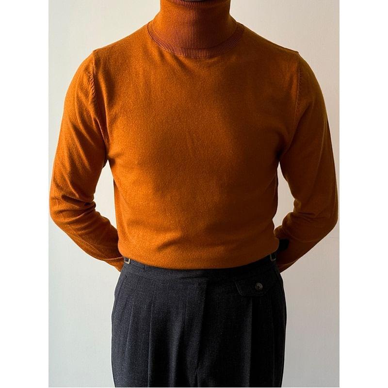 Long-Sleeve Turtleneck Plain Knit Top Product Image