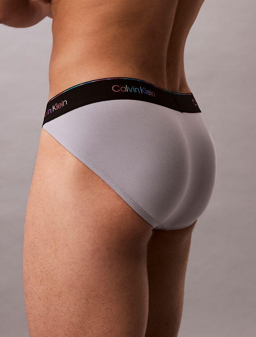 Microfiber Stretch Pride Sport Brief Product Image