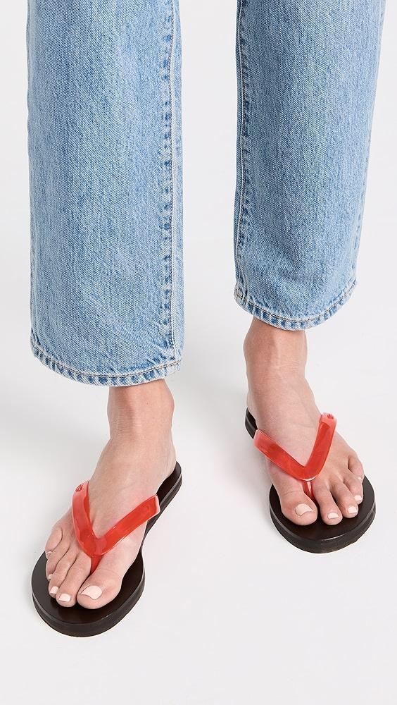 Ancient Greek Sandals Saionara Jelly Flip Flops | Shopbop Product Image