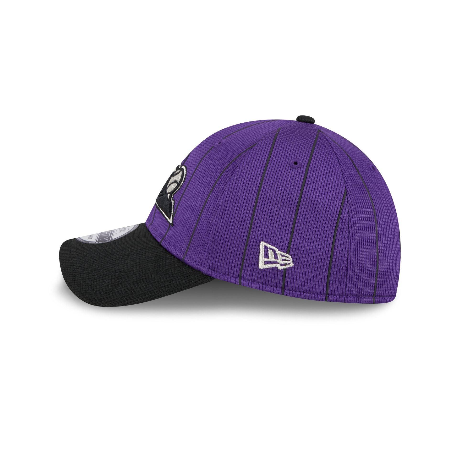 Florida Panthers Team 9FORTY A-Frame Snapback Hat Male Product Image
