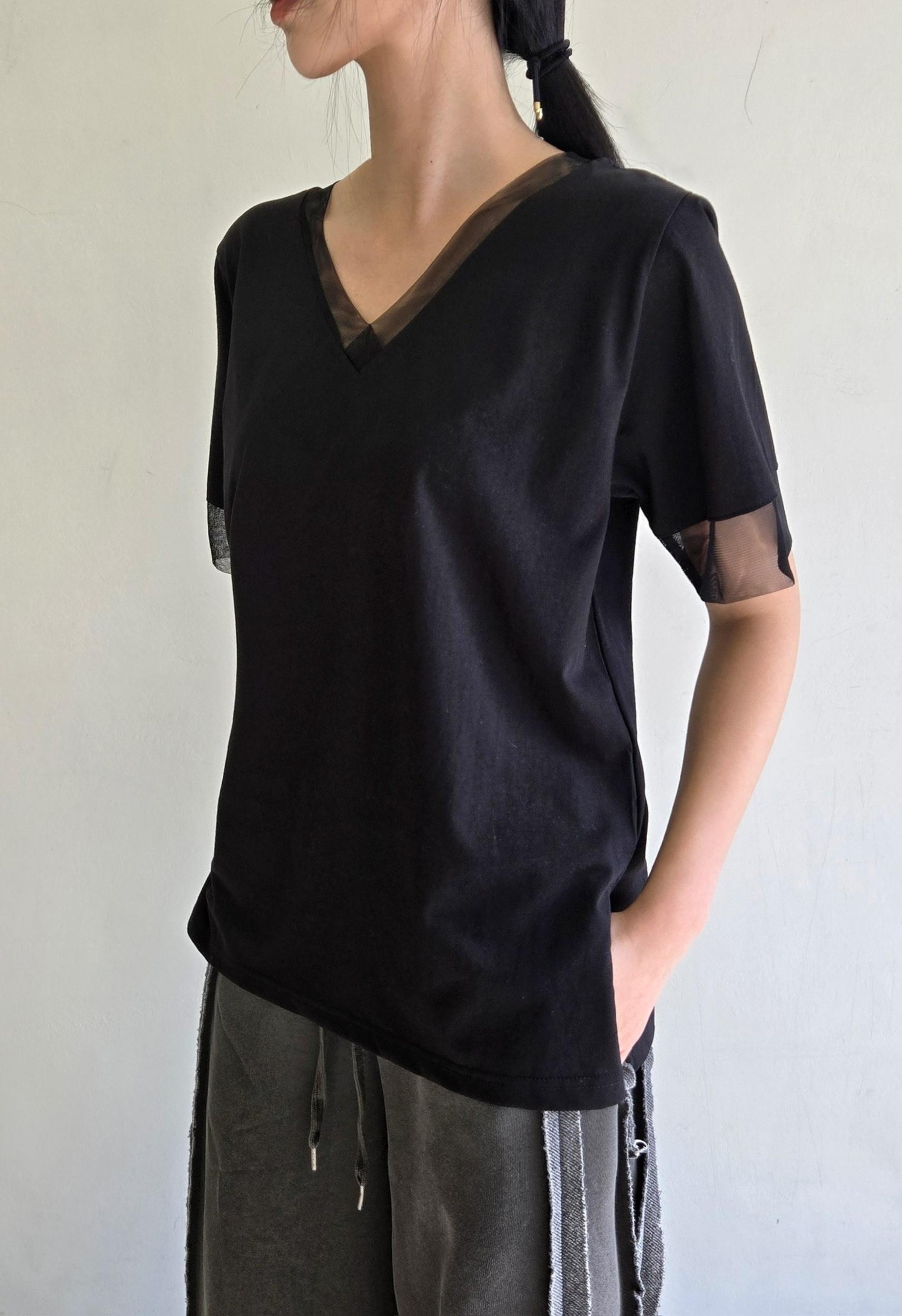 Desi Top Product Image