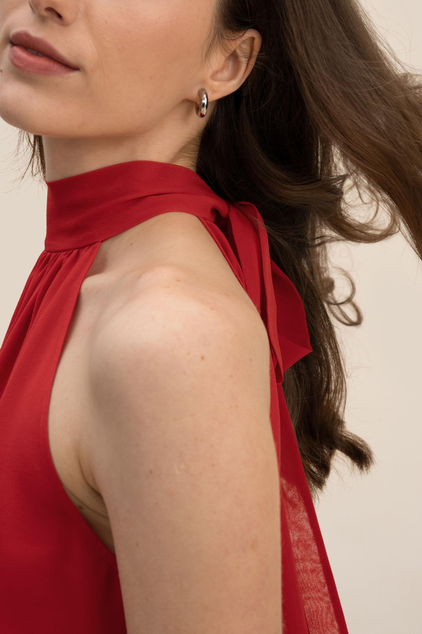 Silk Georgette Halter Neck Top Product Image