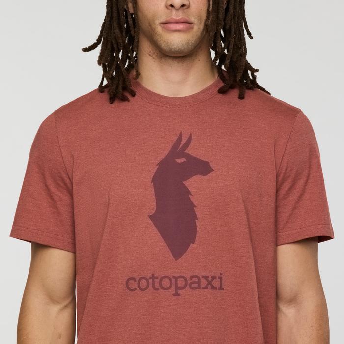 Cotopaxi Llama T-Shirt - Men's Product Image