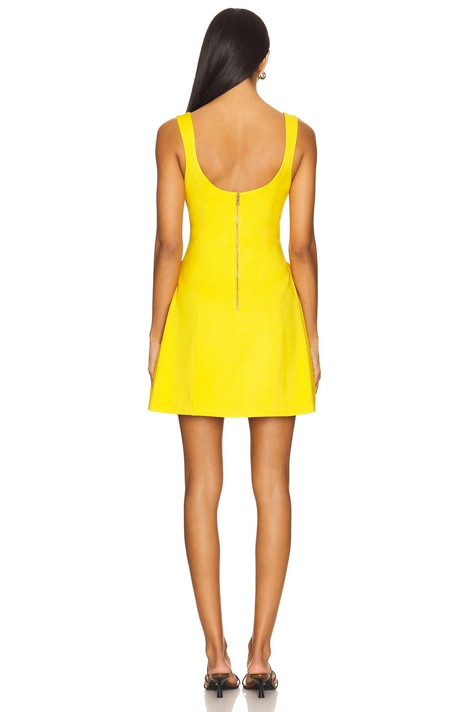 Vera Fit And Flare Mini Dress Alice + Olivia Product Image