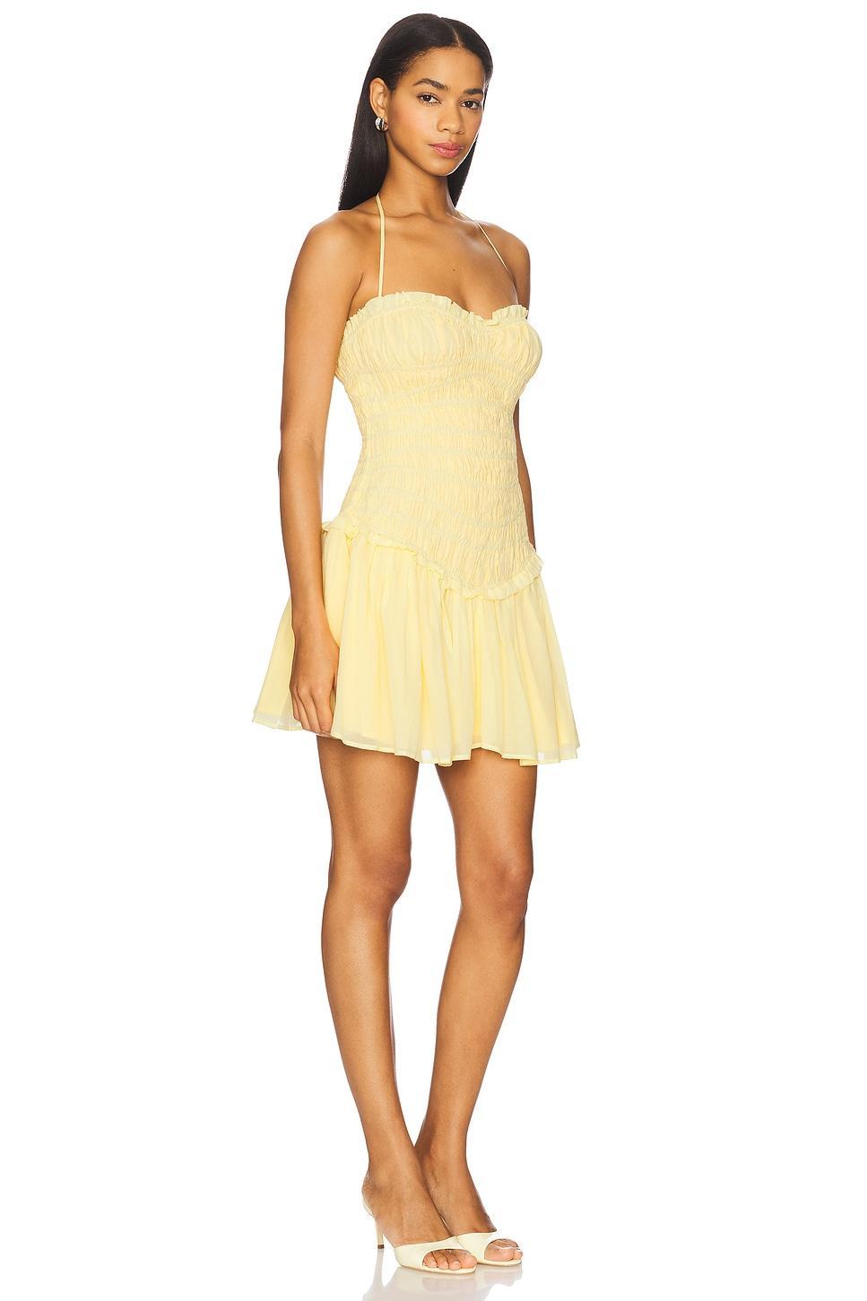 Alessia Mini Dress Lovers and Friends Product Image