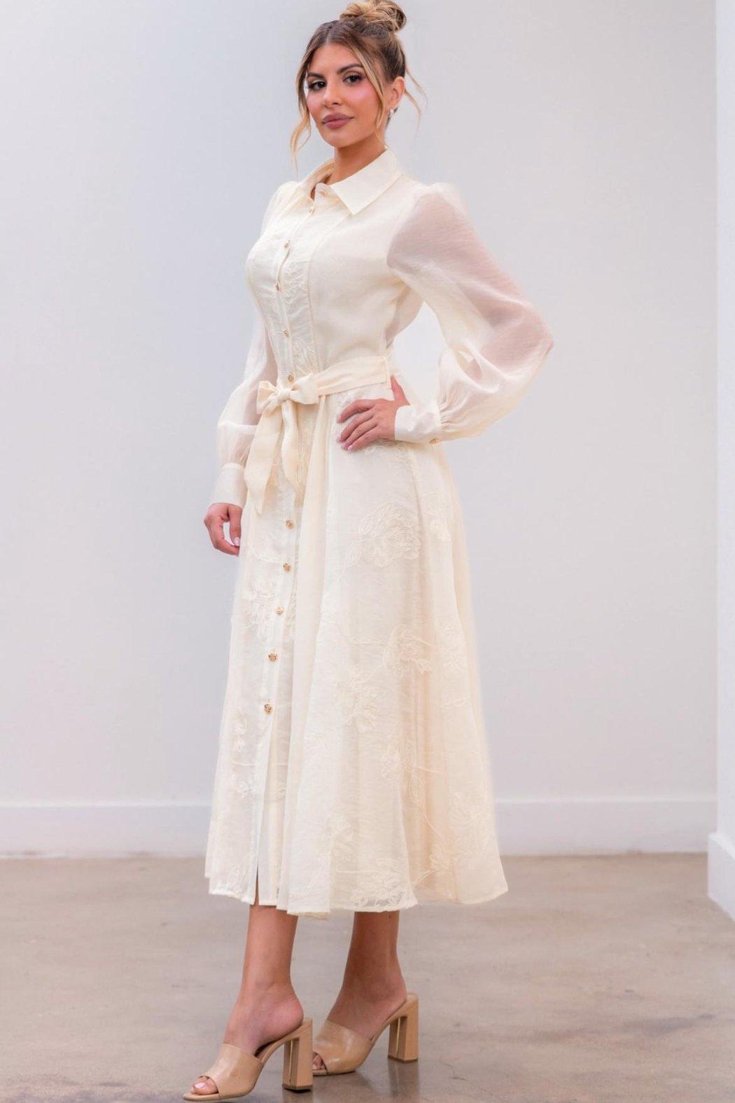Button-Down Embroidered Dress Product Image