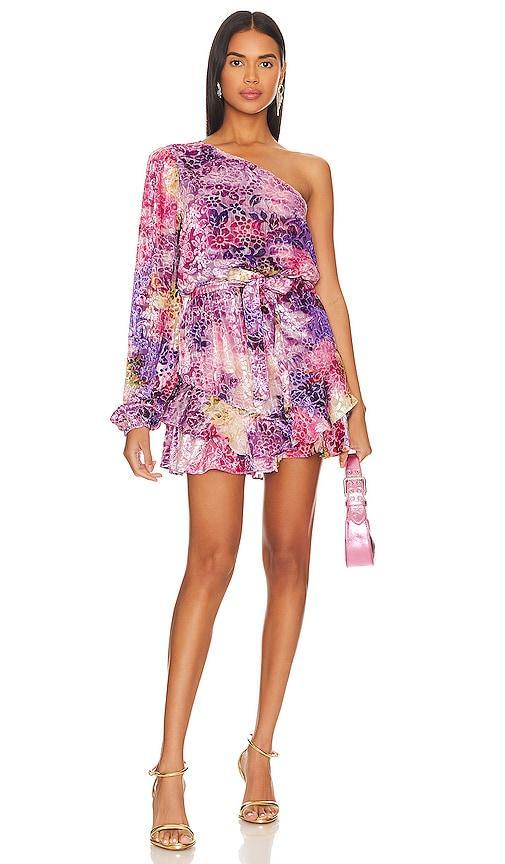 Short Dress HEMANT AND NANDITA Product Image