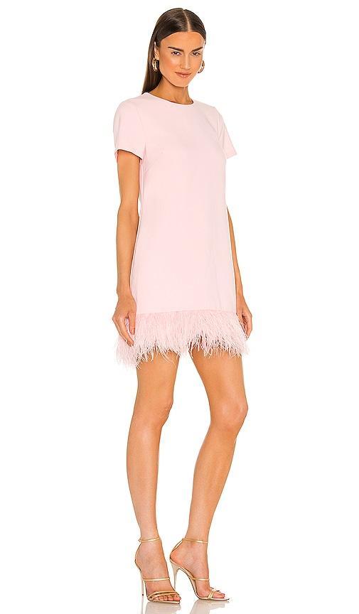 Womens Marullo Dress Product Image
