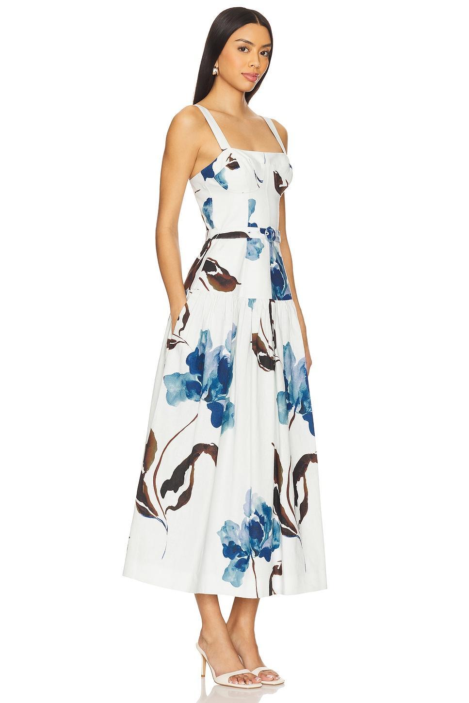 Lidia Dress NICHOLAS Product Image
