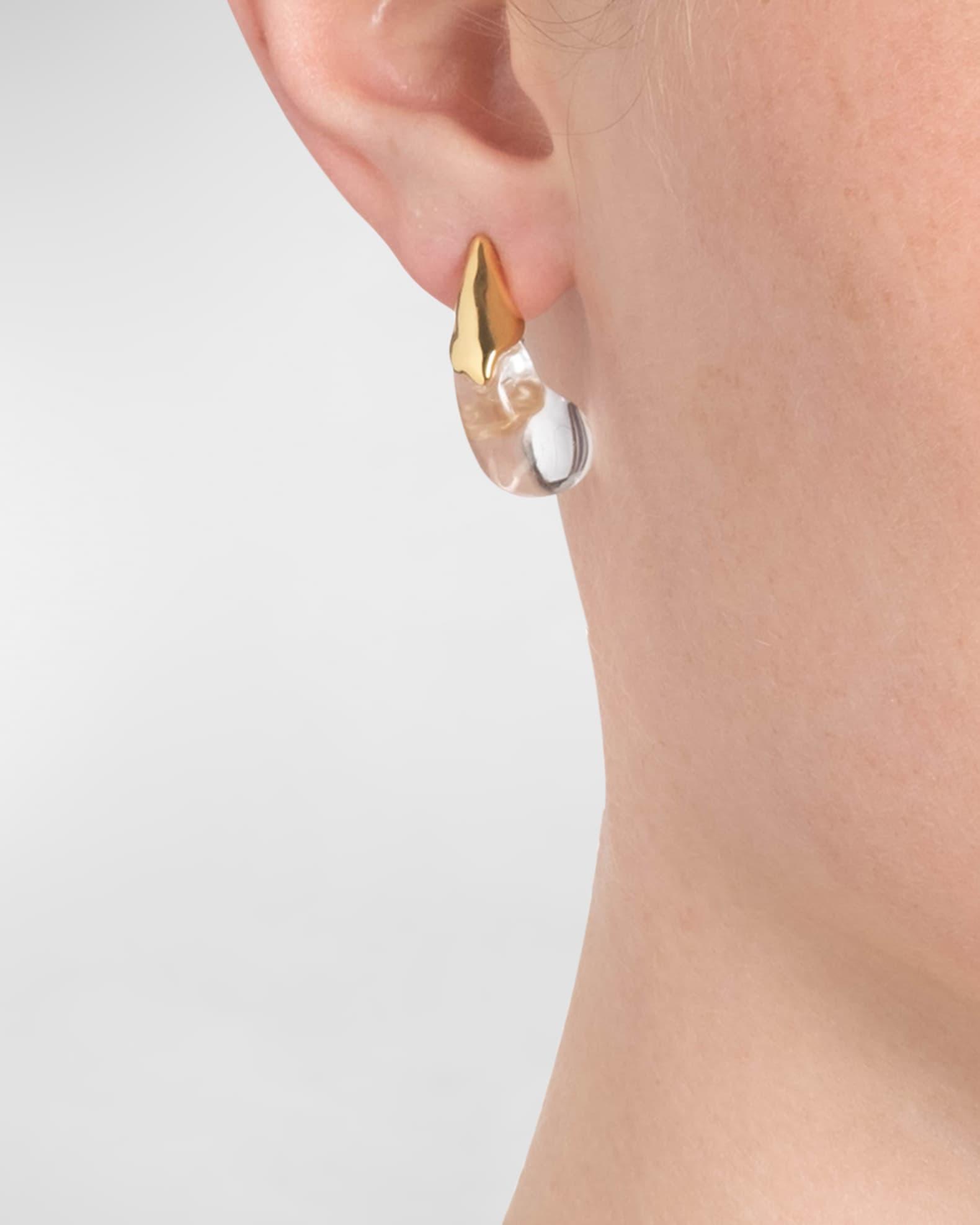 Liquid Lucite Arched Small Post Earrings Product Image
