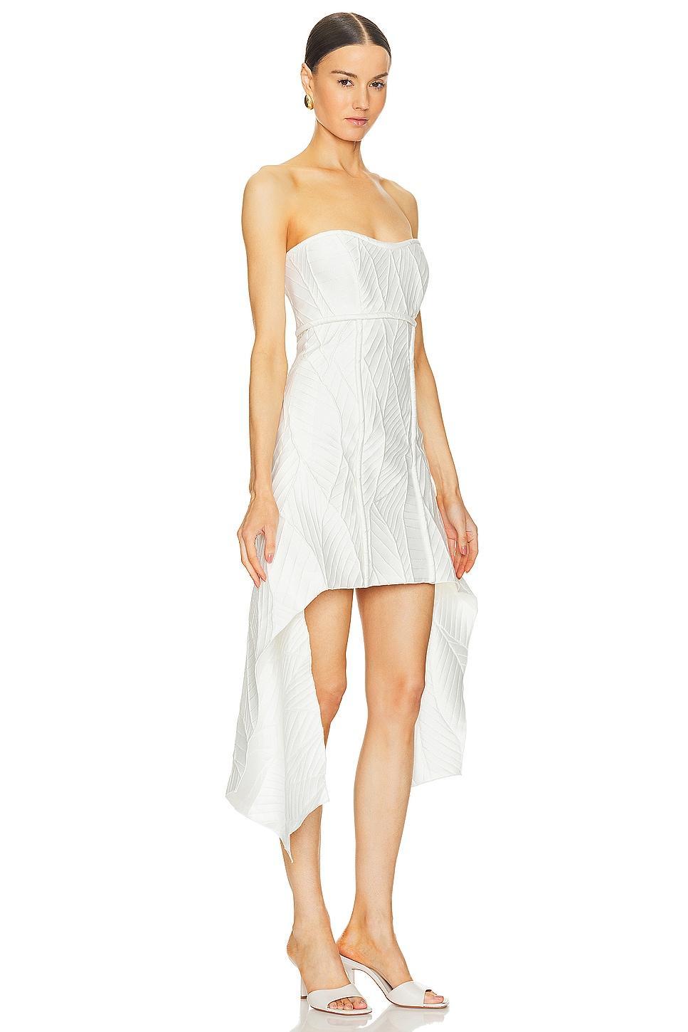 Brigitte Dress Alexis Product Image