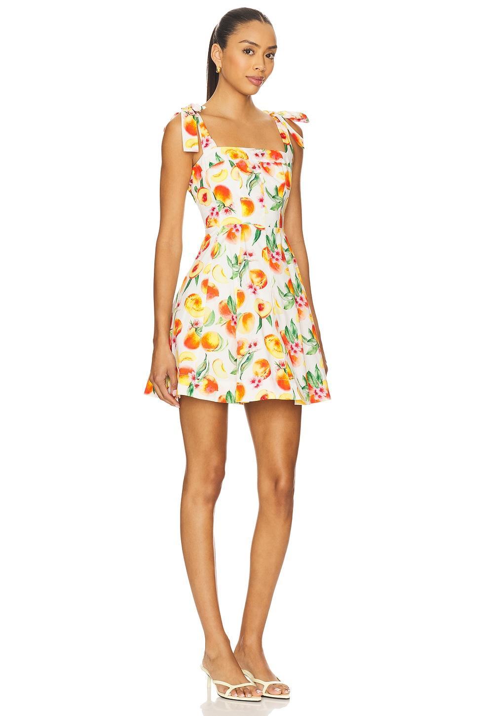 Tinesha Dress ASTR the Label Product Image