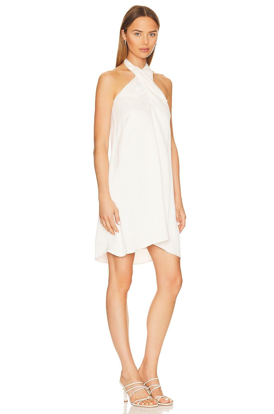 Black High Neck Halter Mini Dress Bobi Product Image