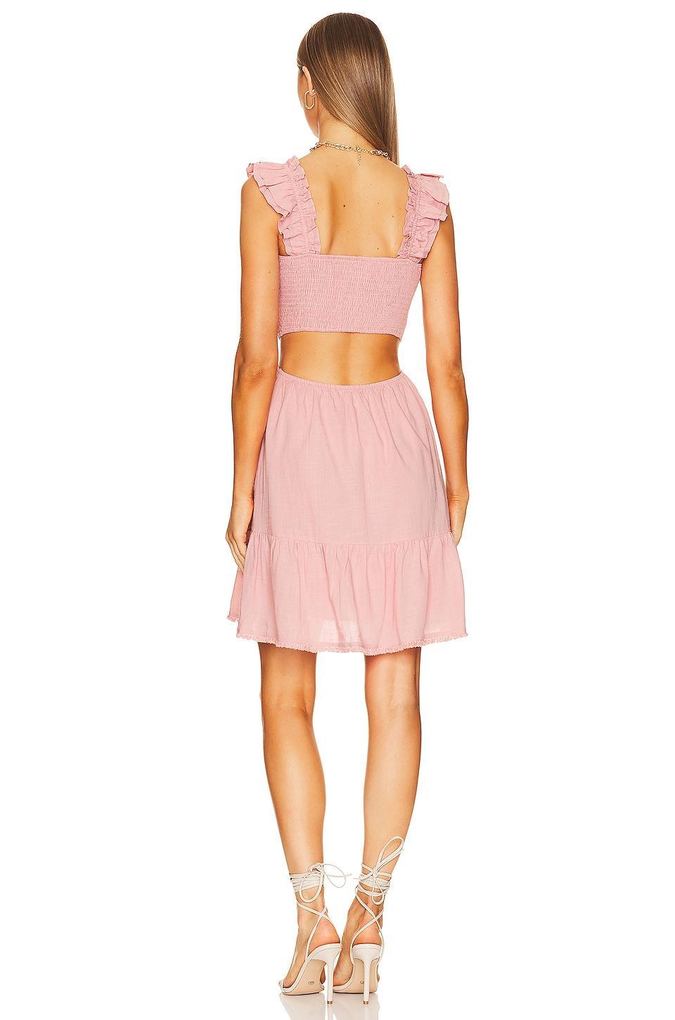Oxford Dress HEARTLOOM Product Image