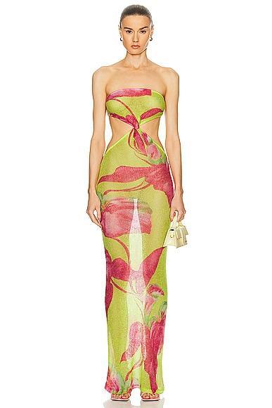 Fontelina Dress Product Image