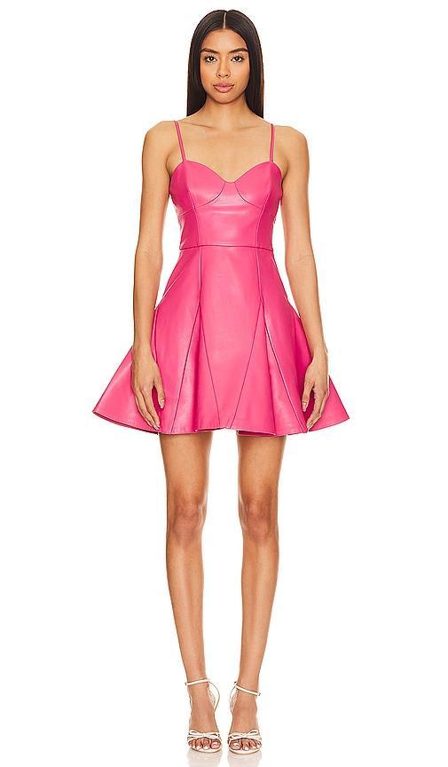 Faux Leather Corset Flare Dress Susana Monaco Product Image