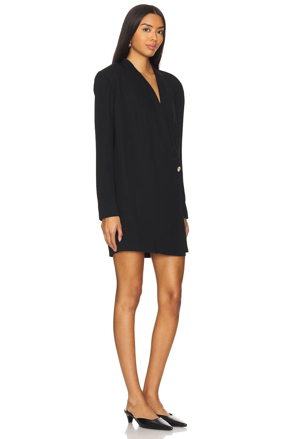 Venice Mini Dress ANINE BING Product Image
