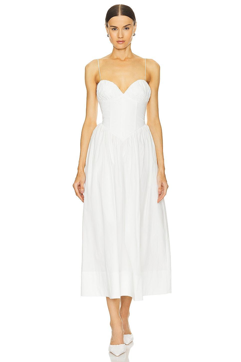 Carmine Dress Ronny Kobo Product Image