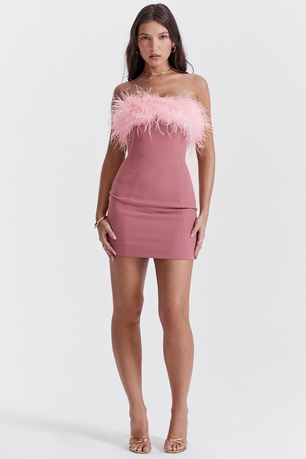 Alexa  warm pink mini dress Product Image