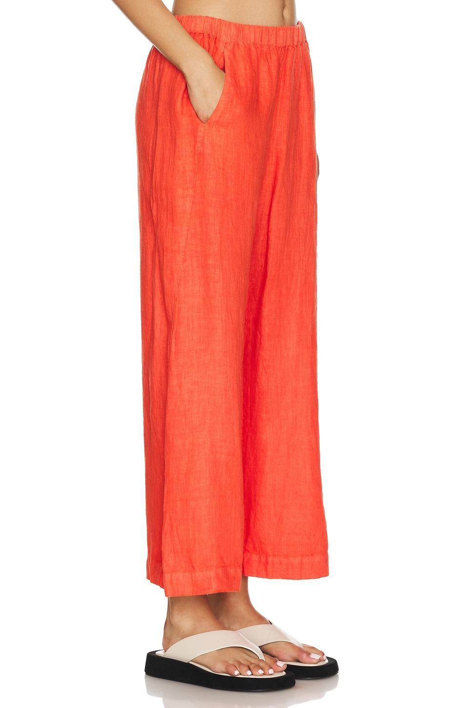 Lola Pant Velvet by Graham & Spencer Product Image
