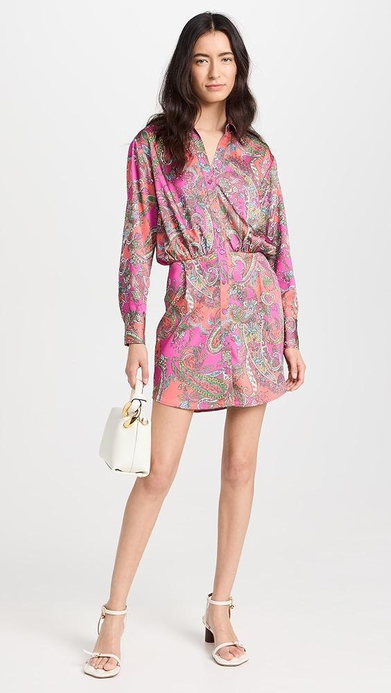 L'AGENCE Demetria Mini Shirtdress | Shopbop Product Image