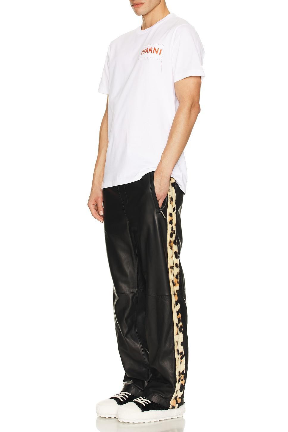 Leather Pants Product Image
