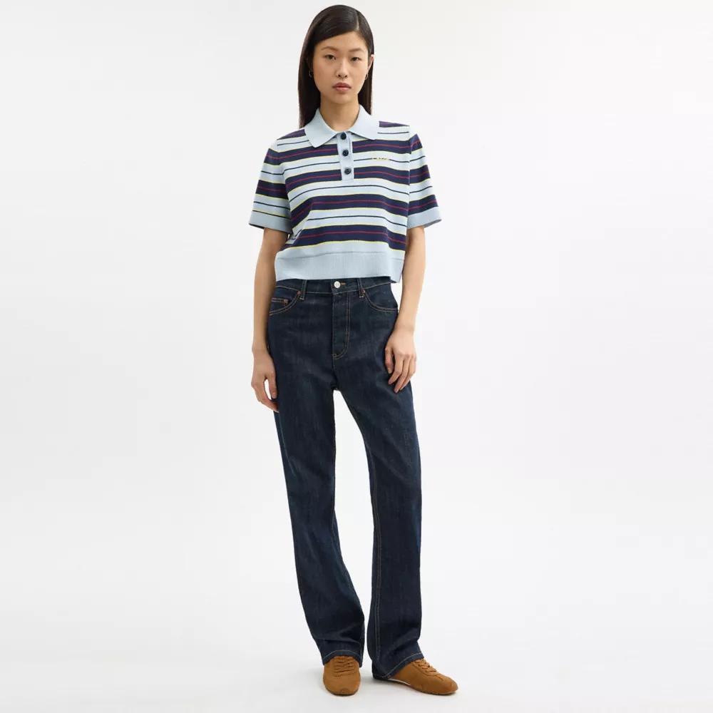 Cropped Stripe Polo Product Image
