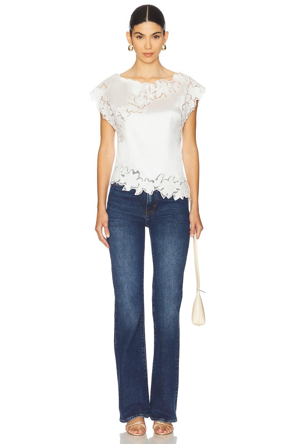 Begonia Top Lovers and Friends Product Image