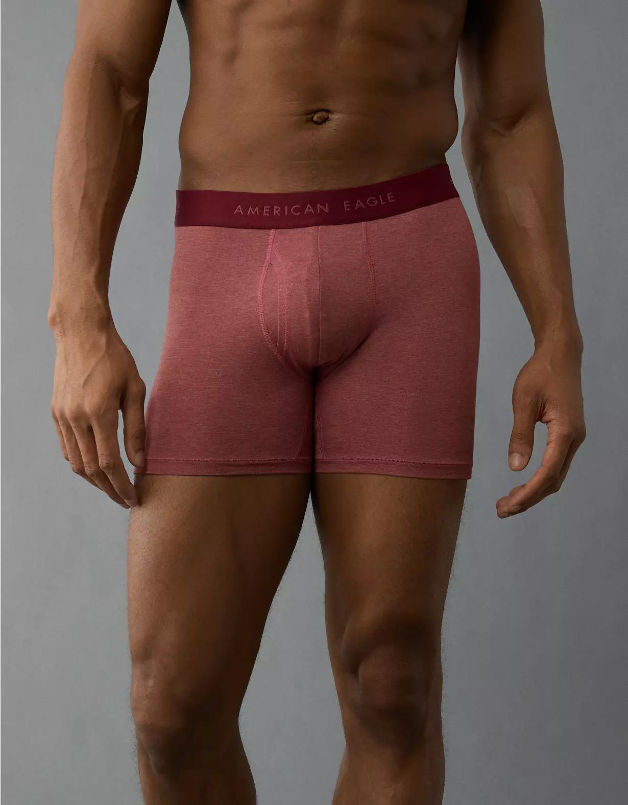 AEO Men's 4.5" Pasta Classic Boxer Brief Product Image