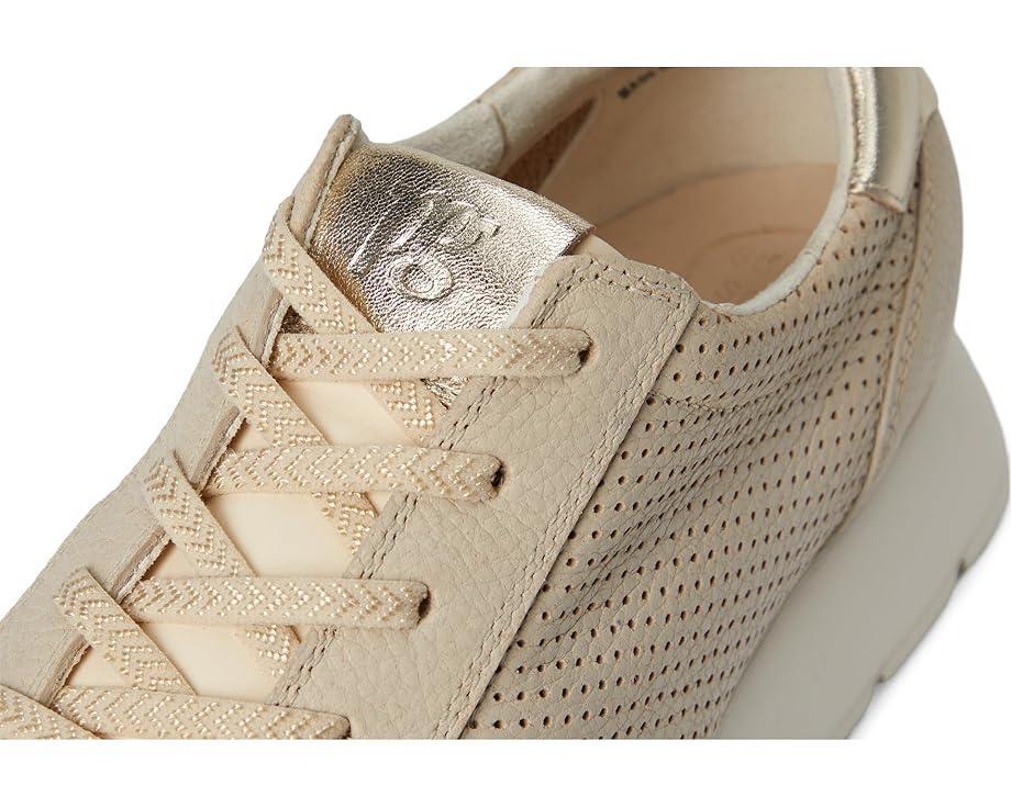 Urban Sneakers Product Image