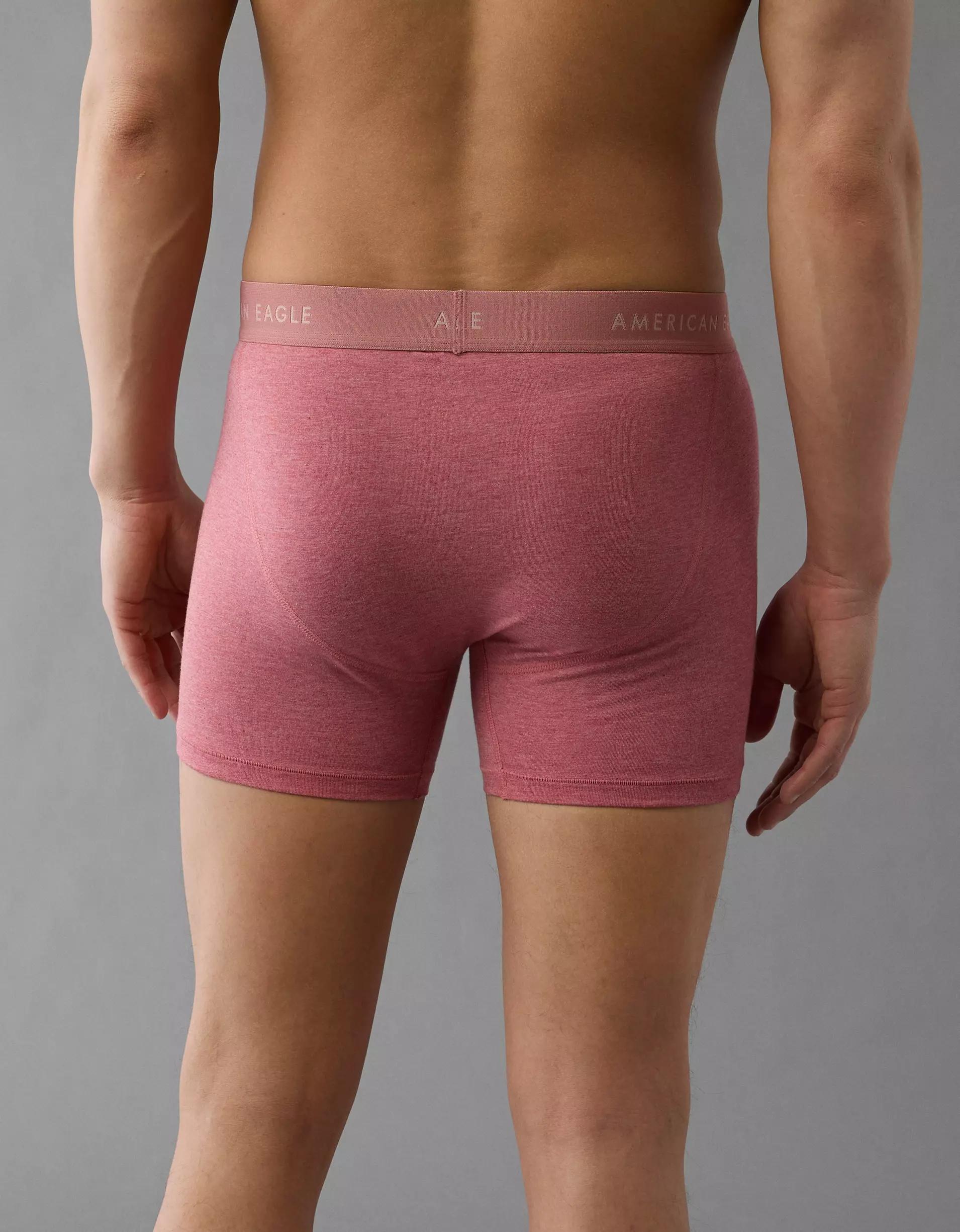 AEO Men's 4.5" Classic Boxer Brief Product Image