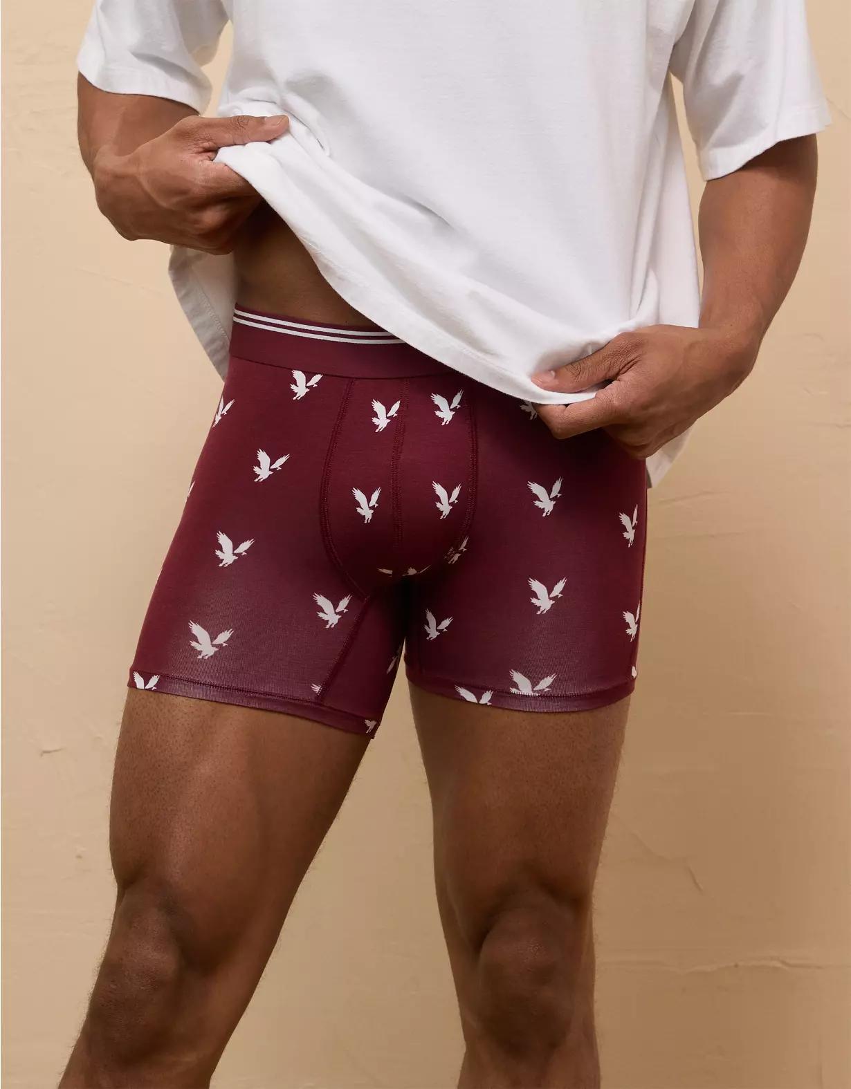 AEO Men's Eagles 4.5" Ultra Soft Boxer Brief Product Image
