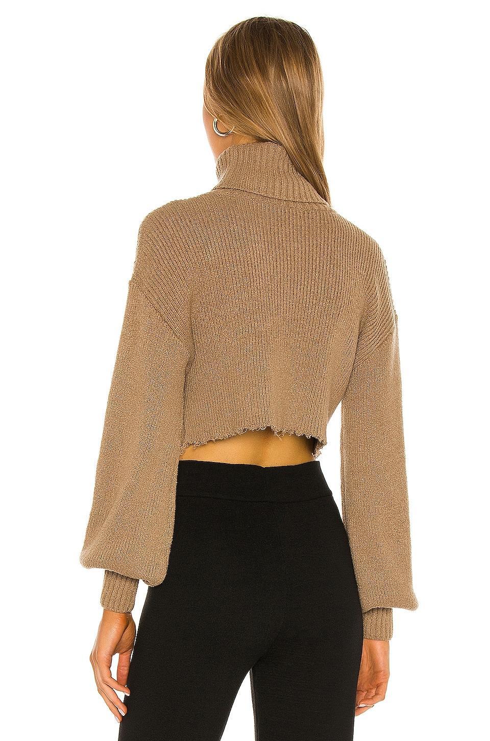 Lucia Cropped Turtleneck L'Academie Product Image