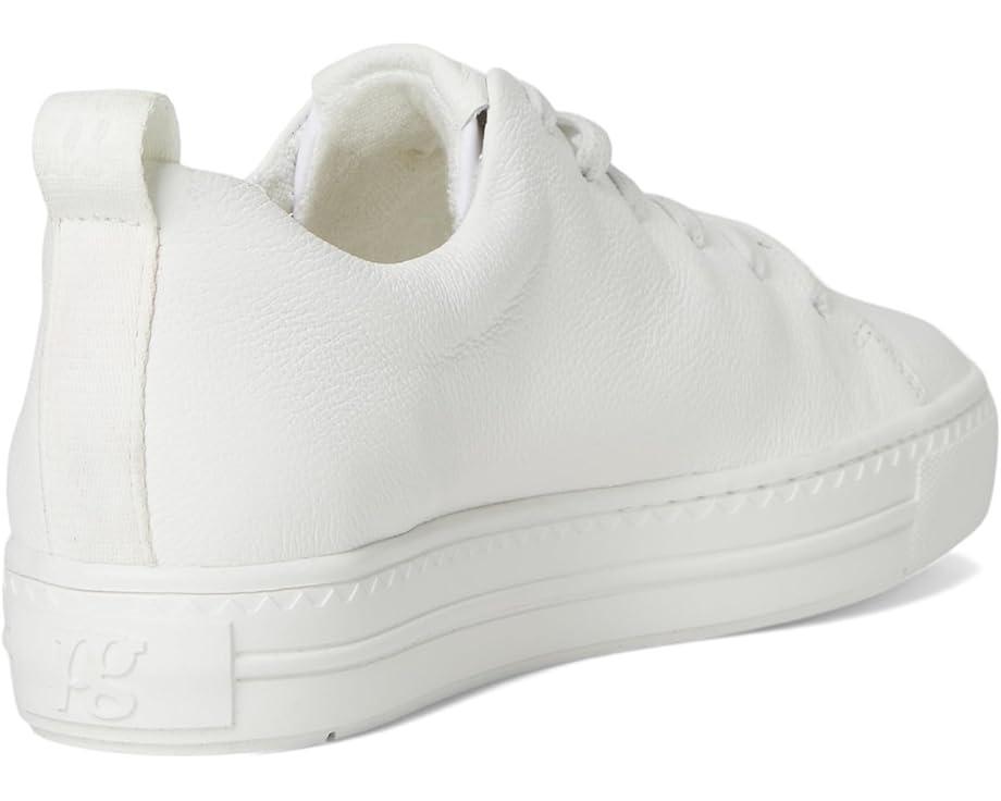 Faye Sneaker Product Image