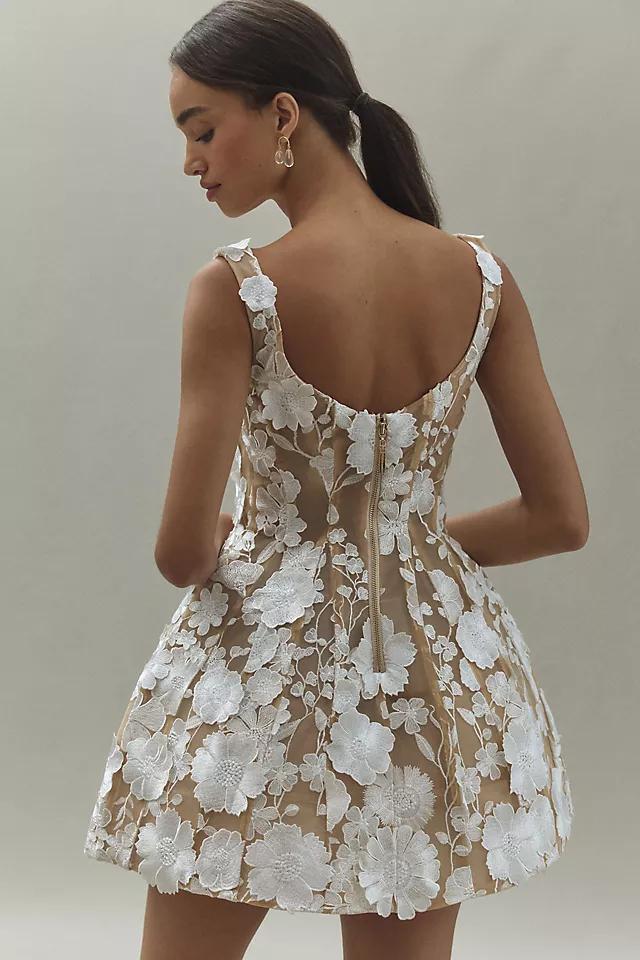 Bronx and Banco Jasmine Scoop-Neck Fit & Flare Mesh Floral Mini Dress Product Image