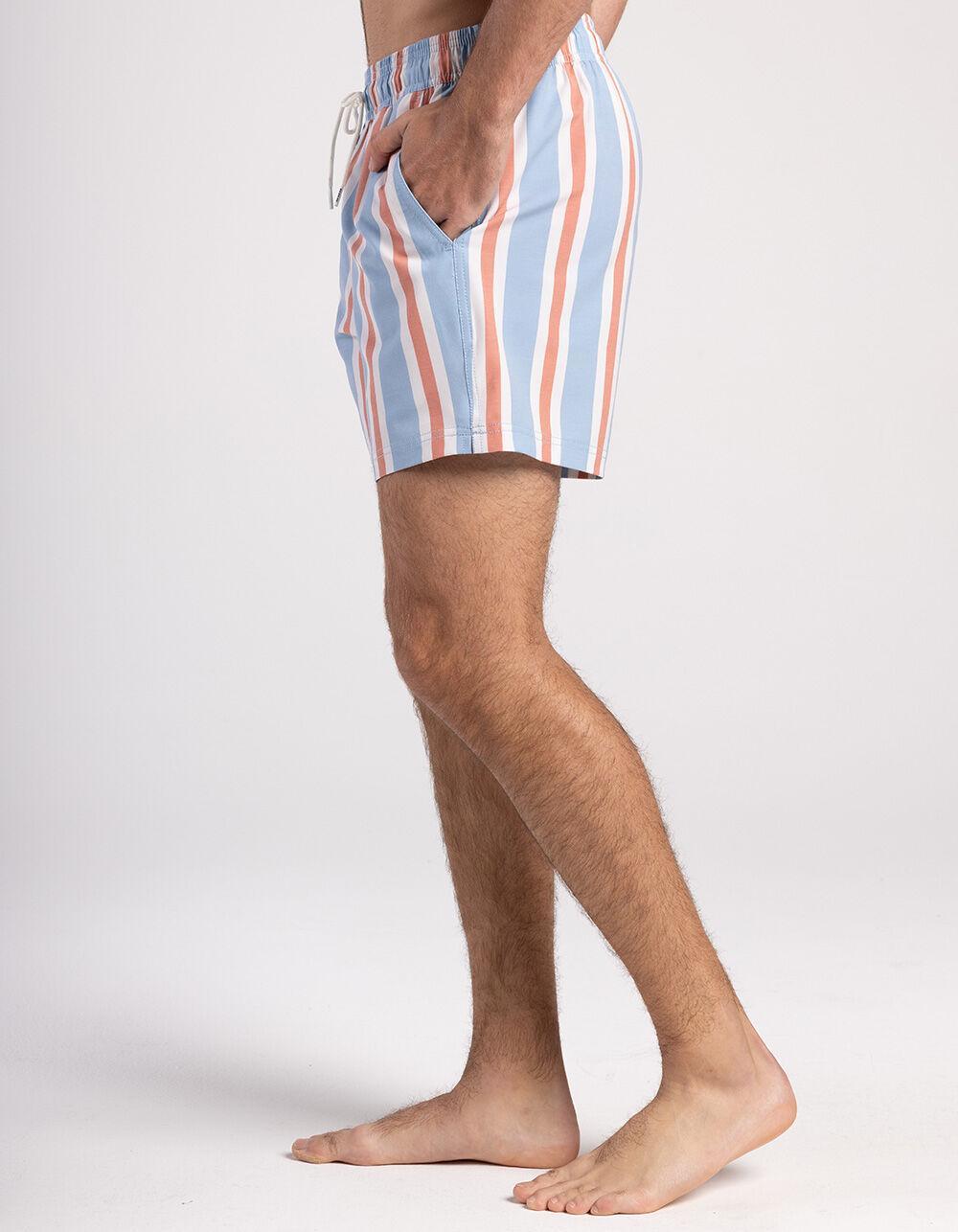 RSQ Vintage Stripe Mens 5" Swim Shorts Product Image