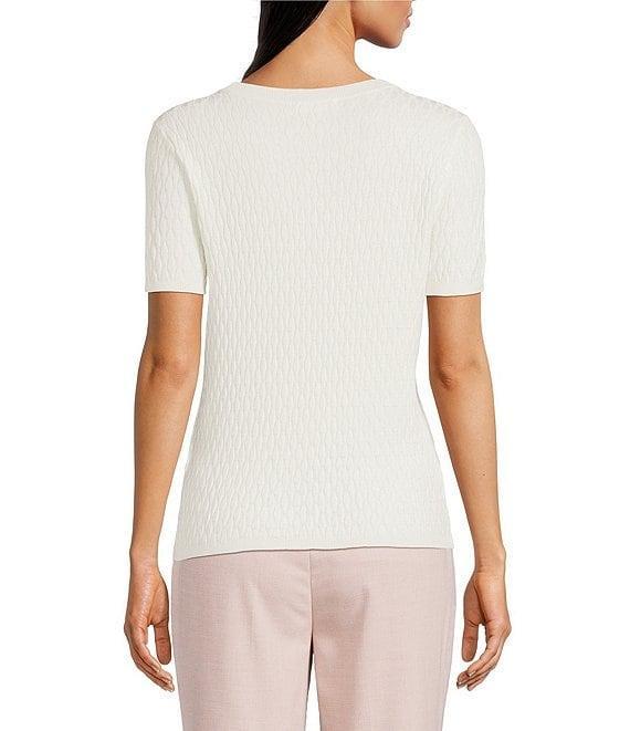 Calvin Klein Textured Crew Neck Short Sleeve Knit Sweater Product Image