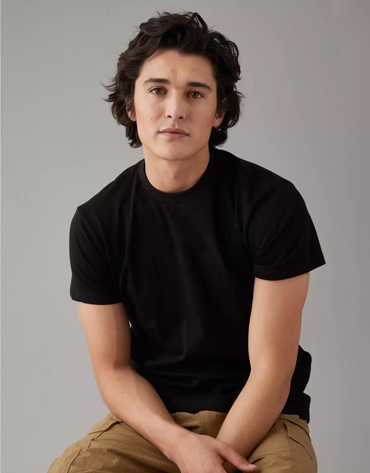AE Lived-In Slim T-Shirt Product Image