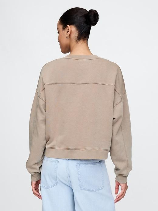 VintageSoft Wedge Crewneck Sweatshirt Product Image