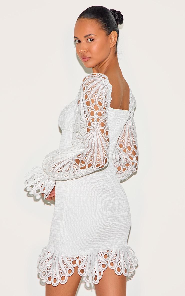 White Lace Sleeve Shirred Bodycon Dress Product Image
