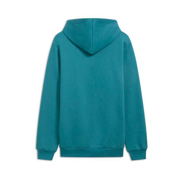Big Cat Men's Logo Hoodie Product Image