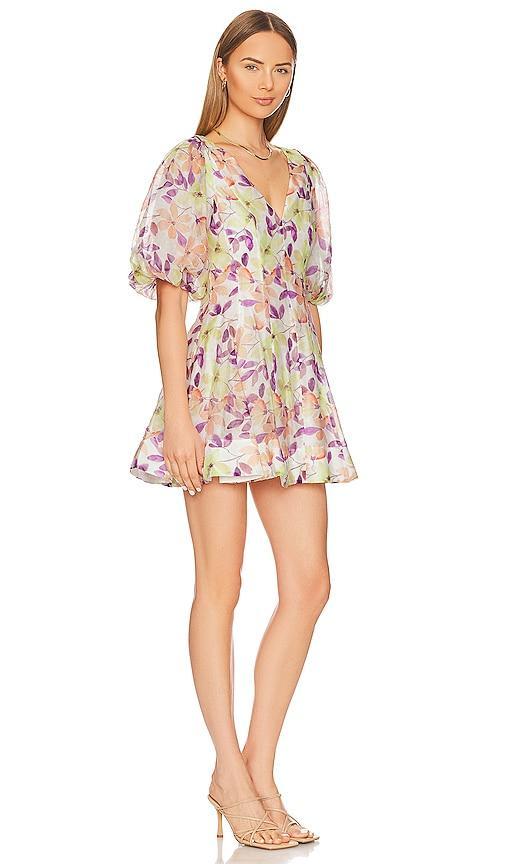 Fleur Mini Dress Bardot Product Image