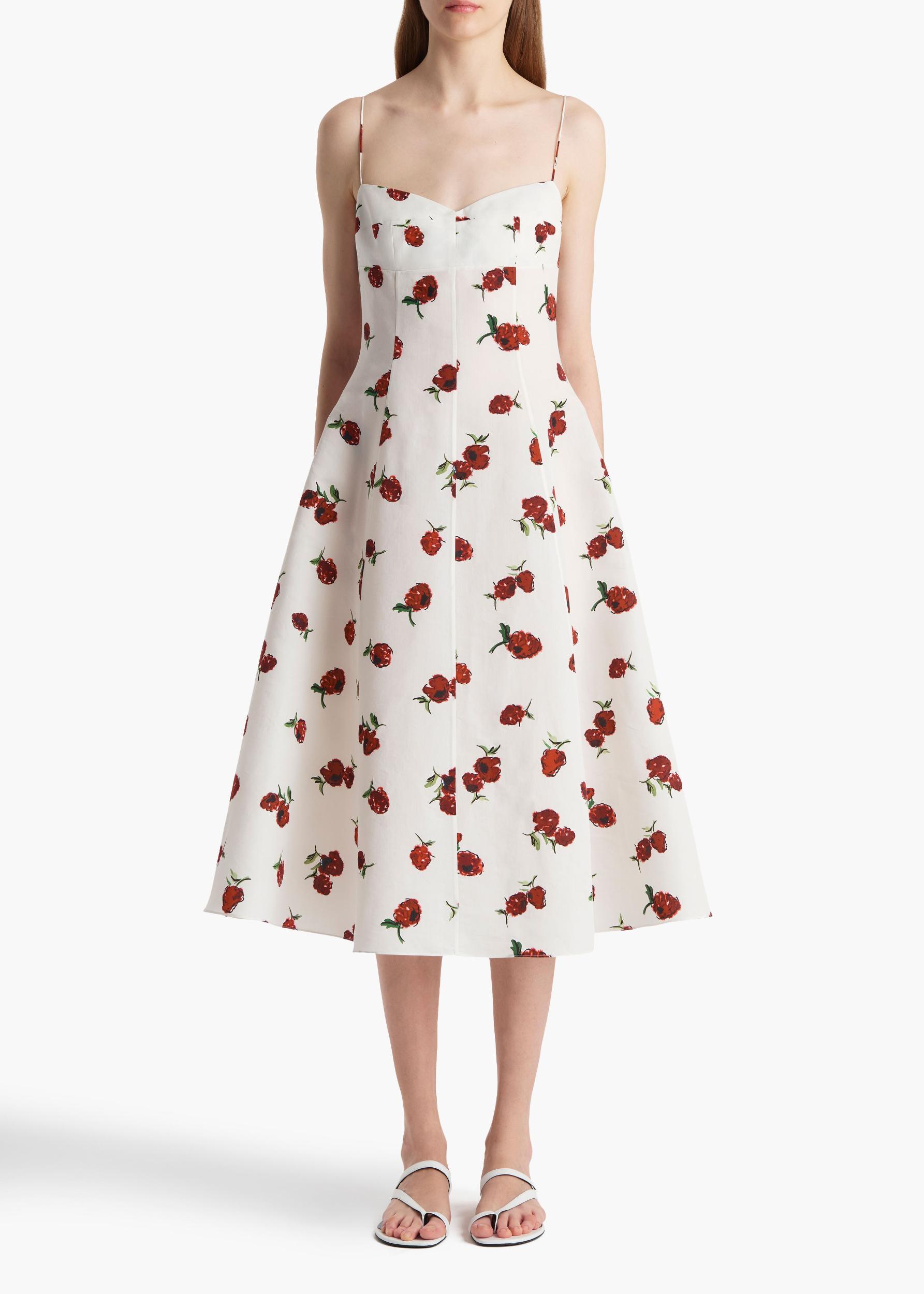 Isabella Dress in Cream with Raspberry Print Product Image