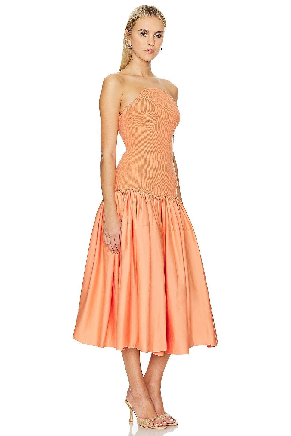 Kamali Dress Alexis Product Image